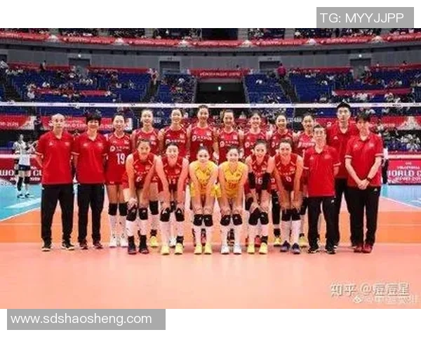 上海排球队实力变革引发热议展望未来发展新机遇