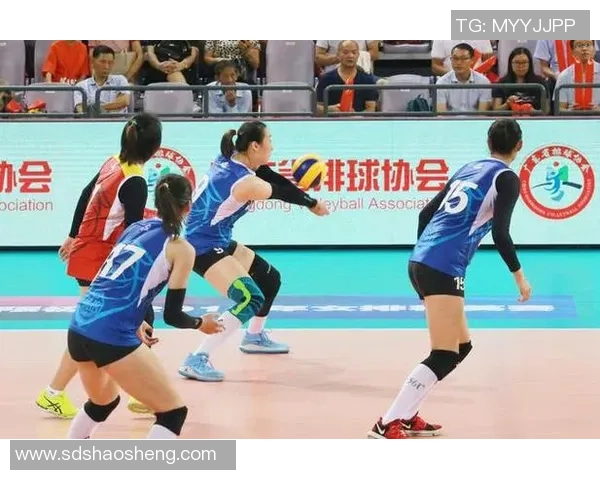 周娜深度分享排球技巧与心得体会助你提升竞技水平